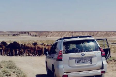 Private Tour 5Days /4Nights From Marrakech To Chegaga Desert Mhamid