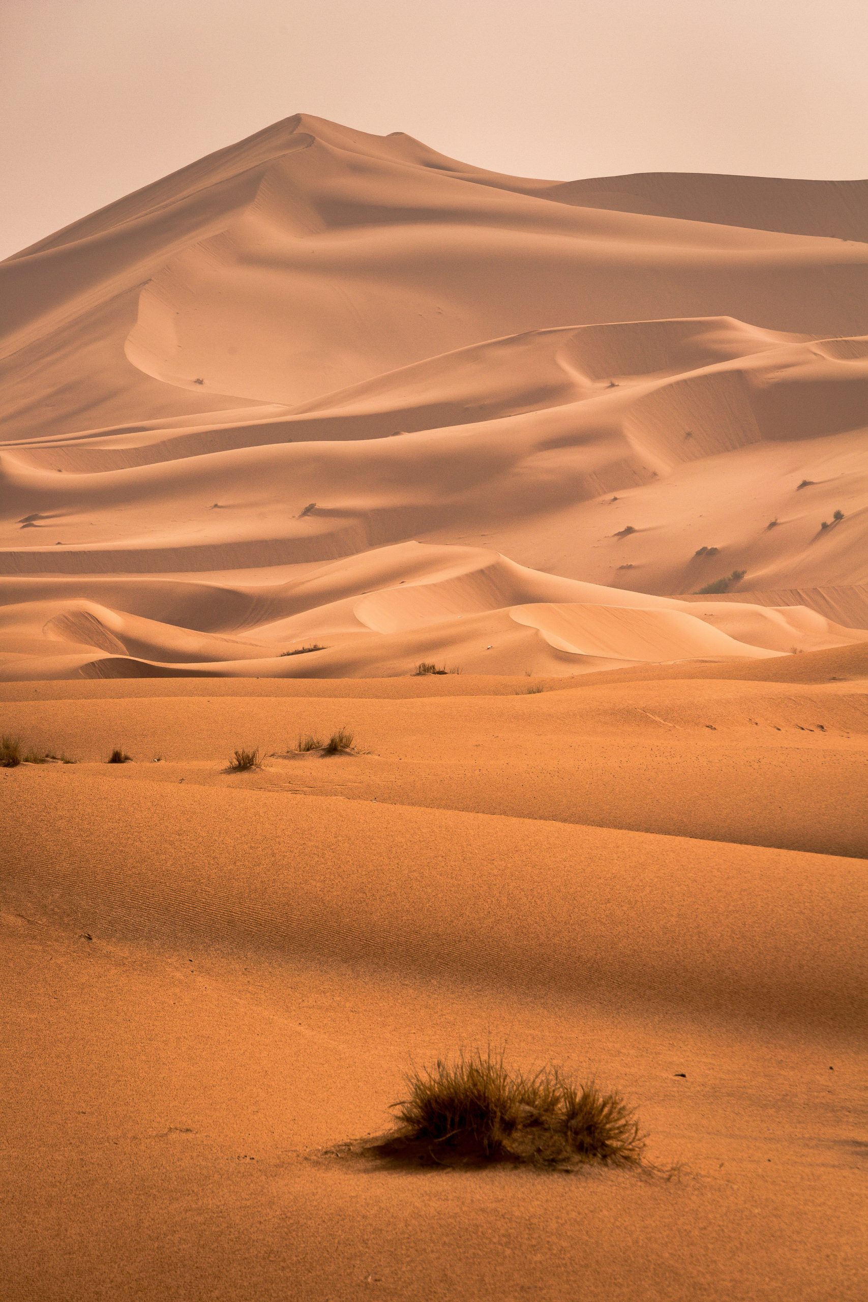 Day 2 : Agdez - Zagora - M'Hamid - Chegaga Dunes
