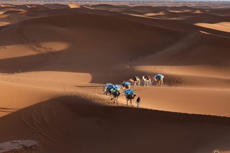 5 Days Desert Trip By Camels Departure From The Camp