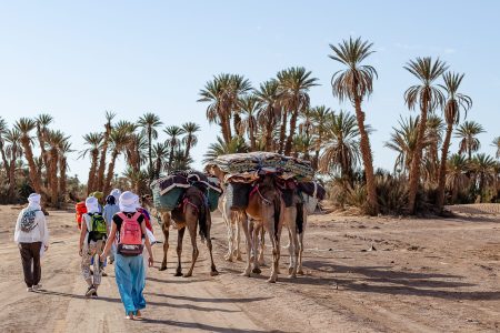 Tour Five Days Camels in Desert Mhamid