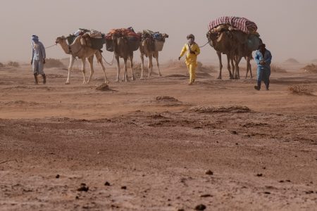 Tour two days camel
